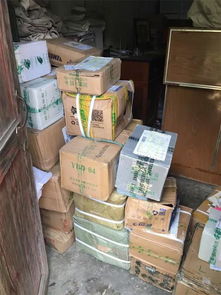 张金宝携金财咨询践行社会责任，共筑乡村教育未来——记“乡村学校图书室手拉手行动”